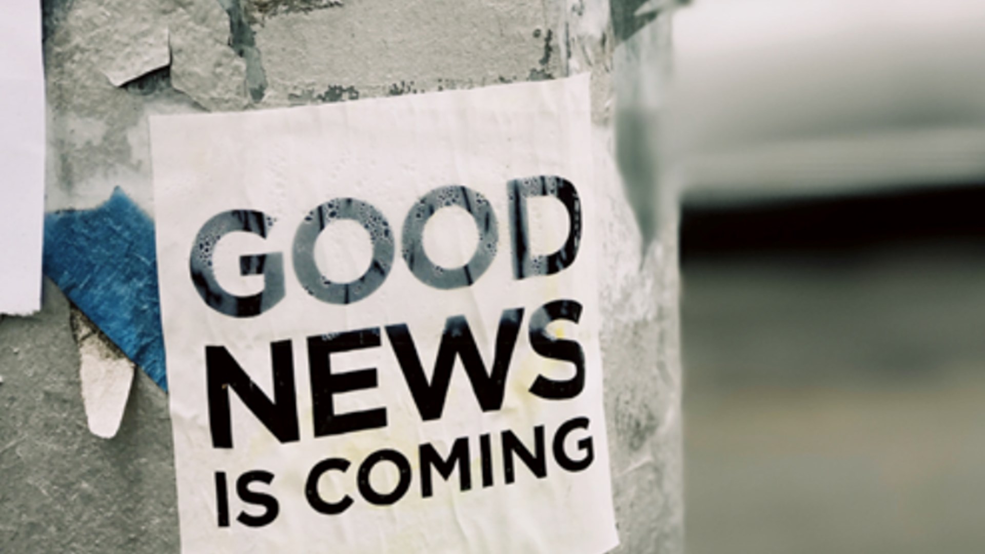 Bildschirmfoto 2022 09 04 Um 16.16.21 Bildschirmfoto 2022 09 04 Um 16.16.21